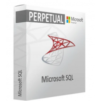 Microsoft SQL Server 2022 Standard Edition - Perpetual License