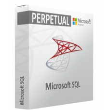 Microsoft SQL Server 2022 Standard Edition - Perpetual License